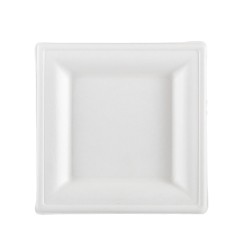 Piatto piano monouso - quadrato - 16 x 16 cm - canna da zucchero - bianco - Signor Bio - conf. 50 pezzi