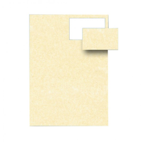 Biglietti da visita - 85 x 54 mm - 165 gr - microperforati - avorio - Decadry - conf. 12 fogli da 10 biglietti Biglietti da visita - 85 x 54 mm - 165 gr - microperforati - avorio - Decadry - conf. 12 fogli da 10 biglietti