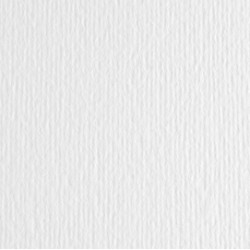 Cartoncino Elle Erre - 70x100 cm - 220 gr - bianco - Fabriano - blister 10 fogli