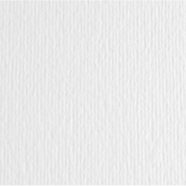 Cartoncino Elle Erre - 70x100 cm - 220 gr - bianco - Fabriano - blister 10 fogli