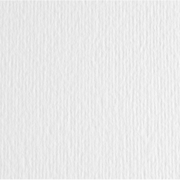 Cartoncino Elle Erre - 70x100 cm - 220 gr - bianco - Fabriano - blister 10 fogli