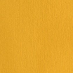 Cartoncino Elle Erre - 70x100cm - 220gr - avana 103 - Fabriano - blister 10 fogli