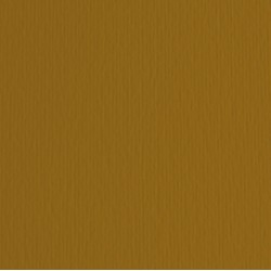 Cartoncino Elle Erre - 70x100cm - 220gr - marrone 106 - Fabriano - blister 10 fogli