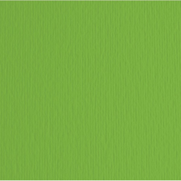 Cartoncino Elle Erre - 70x100cm - 220gr - verde 111 - Fabriano - blister 10 fogli