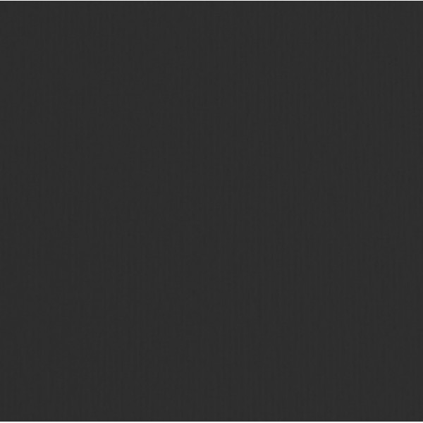 Cartoncino Elle Erre - 70x100cm - 220gr - nero 115 - Fabriano - blister 10 fogli Cartoncino Elle Erre - 70x100cm - 220gr - nero 115 - Fabriano - blister 10 fogli