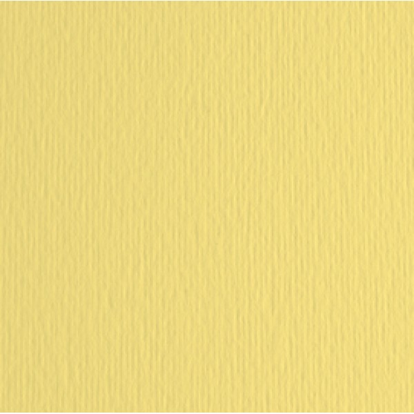 Cartoncino Elle Erre - 70x100cm - 220gr - onice 117 - Fabriano - blister 10 fogli Cartoncino Elle Erre - 70x100cm - 220gr - onice 117 - Fabriano - blister 10 fogli