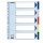 Separatore - 5 tasti colorati - PP - A4 maxi - 24,5x29,7 cm - multicolore - Esselte