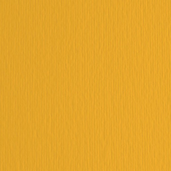 Cartoncino Elle Erre - 50x70cm - 220gr - avana 103 - Fabriano - blister 20 fogli Cartoncino Elle Erre - 50x70cm - 220gr - avana 103 - Fabriano - blister 20 fogli