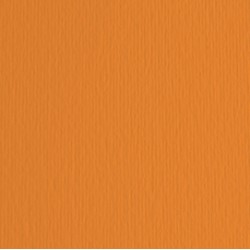 Cartoncino Elle Erre - 50x70cm - 220gr - arancio 108 - Fabriano -  blister 20 fogli