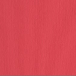 Cartoncino Elle Erre - 50x70cm - 220gr - rosso 109 - Fabriano -  blister 20 fogli