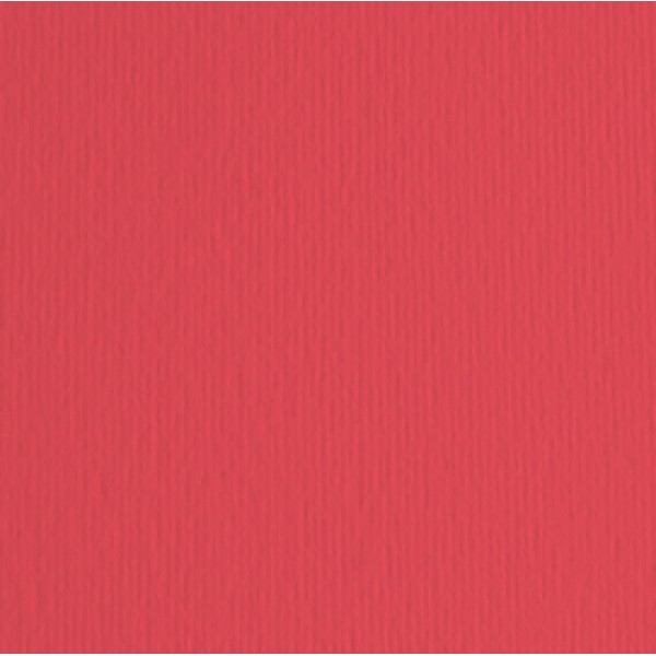 Cartoncino Elle Erre - 50x70cm - 220gr - rosso 109 - Fabriano -  blister 20 fogli