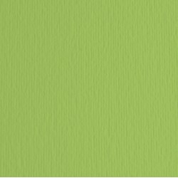 Cartoncino Elle Erre - 50x70cm - 220gr - verde pisello 110 - Fabriano -  blister 20 fogli