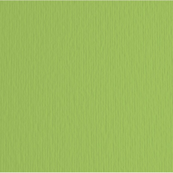 Cartoncino Elle Erre - 50x70cm - 220gr - verde pisello 110 - Fabriano - blister 20 fogli Cartoncino Elle Erre - 50x70cm - 220gr - verde pisello 110 - Fabriano - blister 20 fogli