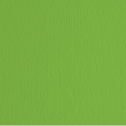 Cartoncino Elle Erre - 50x70cm - 220gr - verde 111 - Fabriano -  blister 20 fogli