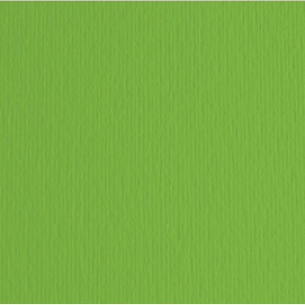Cartoncino Elle Erre - 50x70cm - 220gr - verde 111 - Fabriano - blister 20 fogli Cartoncino Elle Erre - 50x70cm - 220gr - verde 111 - Fabriano - blister 20 fogli