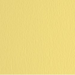 Cartoncino Elle Erre - 50x70cm - 220gr - onice 117 - Fabriano -  blister 20 fogli