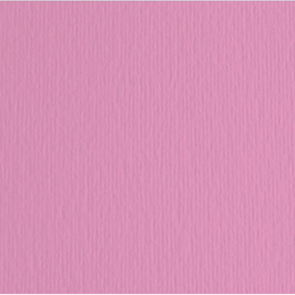Cartoncino Elle Erre - 70x100cm - 220gr - fucsia 123 - Fabriano - blister 10 fogli Cartoncino Elle Erre - 70x100cm - 220gr - fucsia 123 - Fabriano - blister 10 fogli