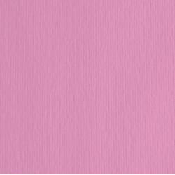 Cartoncino Elle Erre - 50x70cm - 220gr - fucsia 123 - Fabriano -  blister 20 fogli