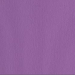 Cartoncino Elle Erre - 50x70cm - 220gr - viola 104 - Fabriano - blister 20 fogli