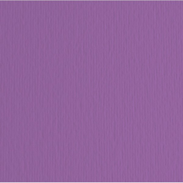 Cartoncino Elle Erre - 50x70cm - 220gr - viola 104 - Fabriano - blister 20 fogli Cartoncino Elle Erre - 50x70cm - 220gr - viola 104 - Fabriano - blister 20 fogli