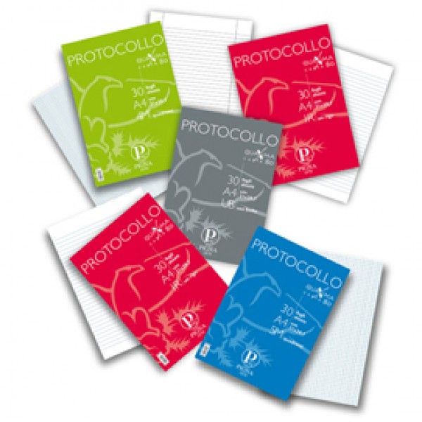 Fogli protocollo Quaxima - A4 - 4 mm - 80 gr - Pigna - conf. 200 pezzi Fogli protocollo Quaxima - A4 - 4 mm - 80 gr - Pigna - conf. 200 pezzi