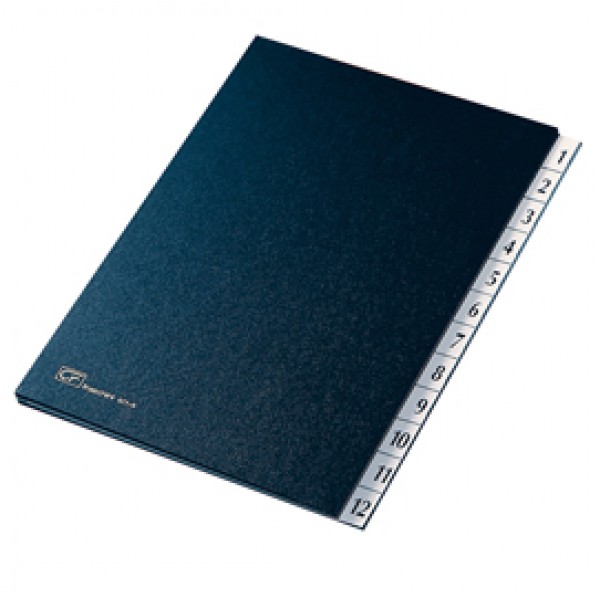 Classificatore numerico 1/12 - 24x34 cm - blu - Fraschini Classificatore numerico 1/12 - 24x34 cm - blu - Fraschini
