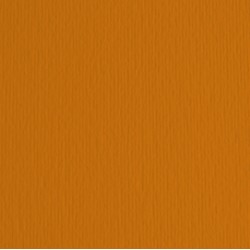 Cartoncino Elle Erre - 50x70cm - 220gr - terra bruciata 119 - Fabriano -  blister 20 fogli