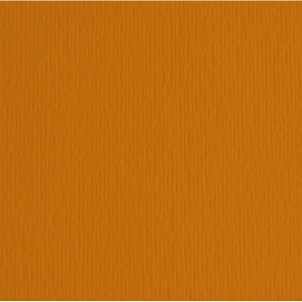 Cartoncino Elle Erre - 50x70cm - 220gr - terra bruciata 119 - Fabriano - blister 20 fogli Cartoncino Elle Erre - 50x70cm - 220gr - terra bruciata 119 - Fabriano - blister 20 fogli