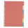 Separatore - 6 tacche - cartoncino colorato 240 gr - 21x29,7 cm - multicolore - Favorit