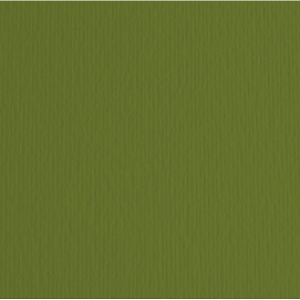 Cartoncino Elle Erre - 70x100cm - 220gr - verdone 128 - Fabriano - blister 10 fogli