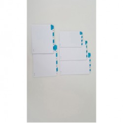 Schede - rubrica A/Z - 21x15 cm (verticale) - bianco - Edipro