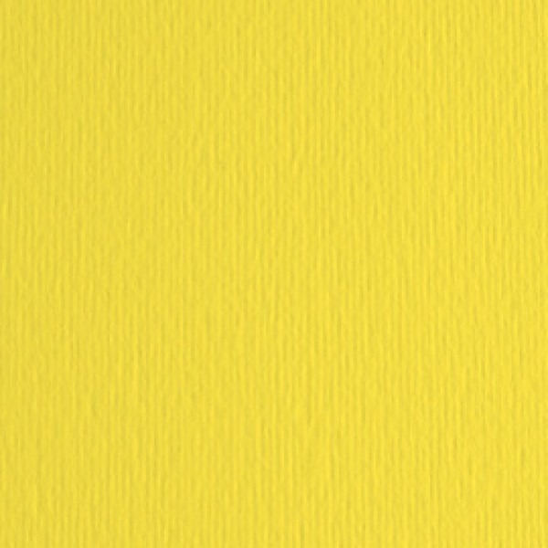 Cartoncino Elle Erre - 70x100cm - 220gr - cedro 125 - Fabriano - blister 10 fogli Cartoncino Elle Erre - 70x100cm - 220gr - cedro 125 - Fabriano - blister 10 fogli