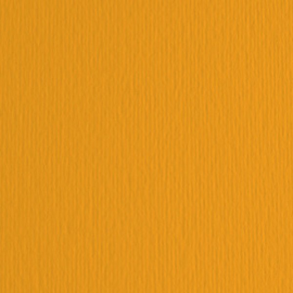 Cartoncino Elle Erre - 70x100cm - 220gr - aragosta 126 - Fabriano - blister 10 fogli Cartoncino Elle Erre - 70x100cm - 220gr - aragosta 126 - Fabriano - blister 10 fogli