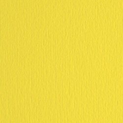 Cartoncino Elle Erre - 50x70cm - 220gr - cedro 25 - Fabriano - blister 20 fogli