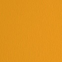 Cartoncino Elle Erre - 50x70cm - 220gr - aragosta 26 - Fabriano - blister 20 fogli