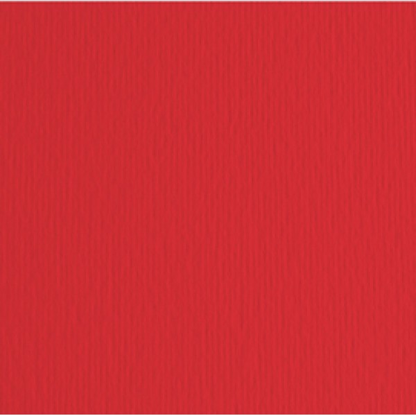 Cartoncino Elle Erre - 50x70cm - 220gr - ciliegia 27 - Fabriano - blister 20 fogli