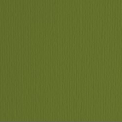 Cartoncino Elle Erre - 50x70cm - 220gr - verdone 28 - Fabriano - blister 20 fogli