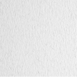 Cartoncino Elle Erre - 50x70cm - 220gr - brina 29 - Fabriano - blister 20 fogli