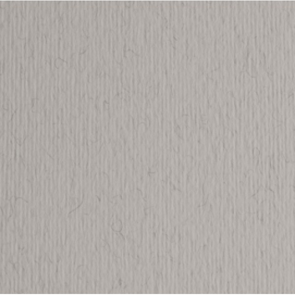 Cartoncino Elle Erre - 50x70cm - 220gr - china 30 - Fabriano - blister 20 fogli Cartoncino Elle Erre - 50x70cm - 220gr - china 30 - Fabriano - blister 20 fogli