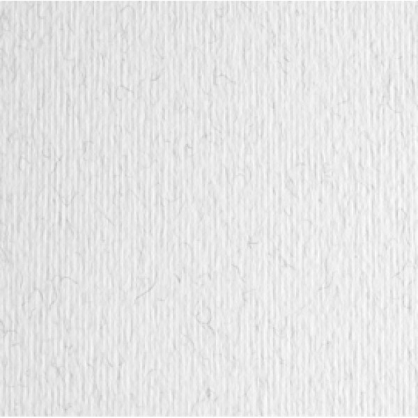 Cartoncino Elle Erre - 70x100cm - 220gr - brina 129 - Fabriano - blister 10 fogli