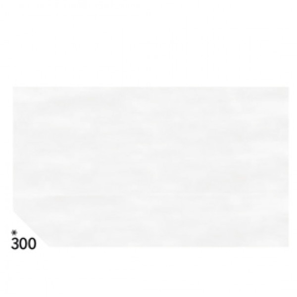 Carta velina - 50 x70cm - 20 gr - bianco 300 - Rex Sadoch - busta 26 pezzi Carta velina - 50 x70cm - 20 gr - bianco 300 - Rex Sadoch - busta 26 pezzi