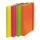 Cartella progetto Shocking File - con elastico - 24x35 cm - colori fluo assortiti - Fellowes