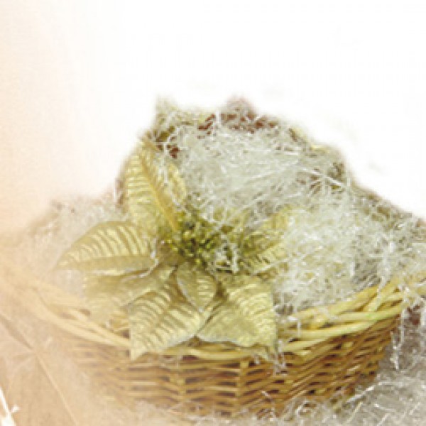 Paglietta - trasparente - 200gr - PNP Paglietta - trasparente - 200gr - PNP