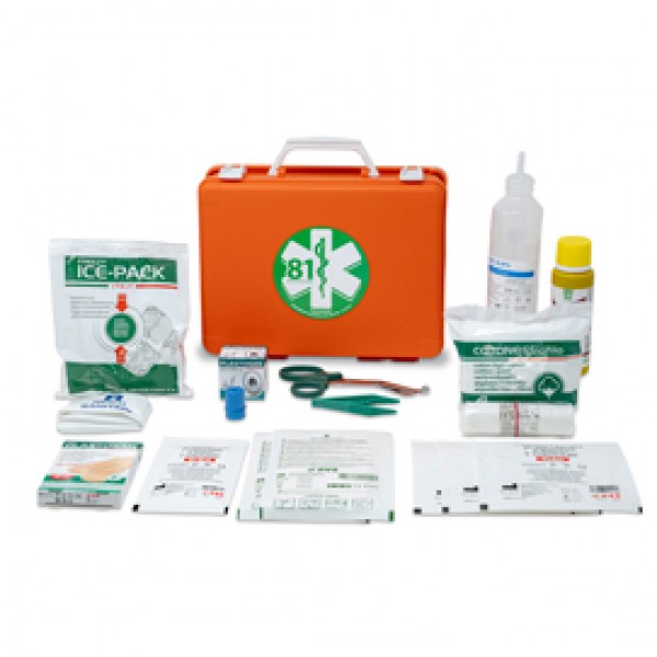 Valigetta di pronto soccorso Medic 1 - 25x19x9 cm - fino a 2 persone - arancio - PVS Valigetta di pronto soccorso Medic 1 - 25x19x9 cm - fino a 2 persone - arancio - PVS