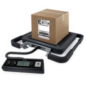 PESALETTERE E PESAPACCHI