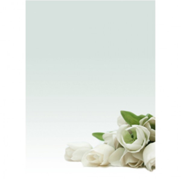 Carta con stampa Carta con stampa