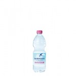 Acqua naturale - PET - bottiglia da 500 ml - San Benedetto