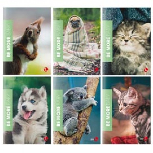 Maxiquaderno A4 36fg+2 100gr rigo di 1a Baby Be More 2023 BM Maxiquaderno A4 36fg+2 100gr rigo di 1a Baby Be More 2023 BM