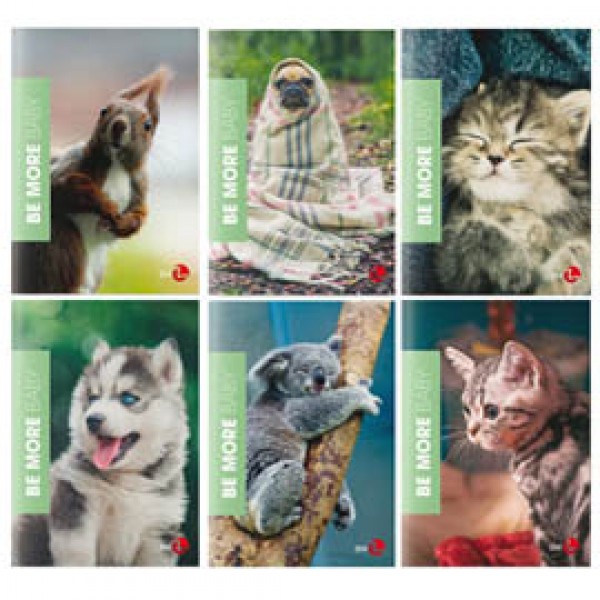 Maxiquaderno A4 36fg+2 100gr rigo di 5mm Baby Be More 2023 BM Maxiquaderno A4 36fg+2 100gr rigo di 5mm Baby Be More 2023 BM