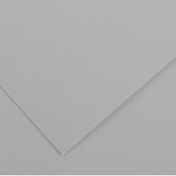 Foglio Colorline - 70x100 cm - 220 gr - grigio chiaro - Canson